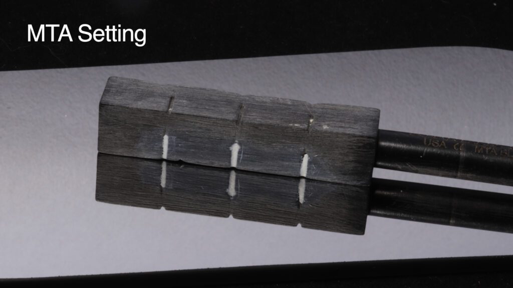 Apical p55lug.001